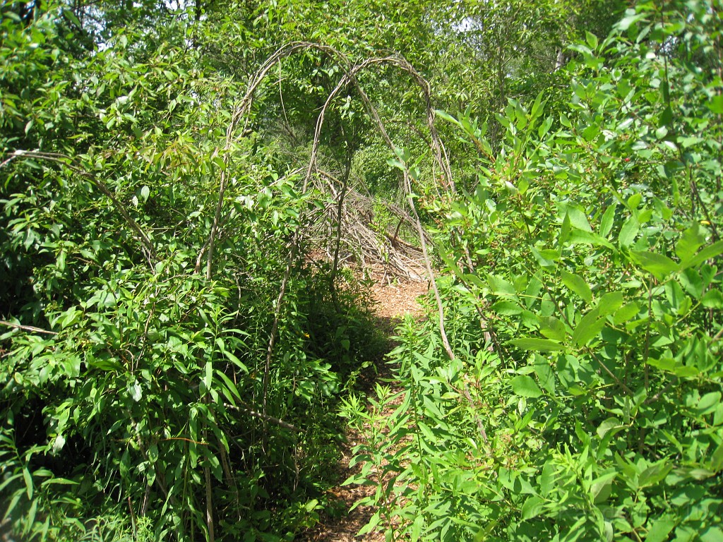 Matthaei Botanical Gardens 2010 0100.jpg - The Willow Lodge hidden down the short path.
